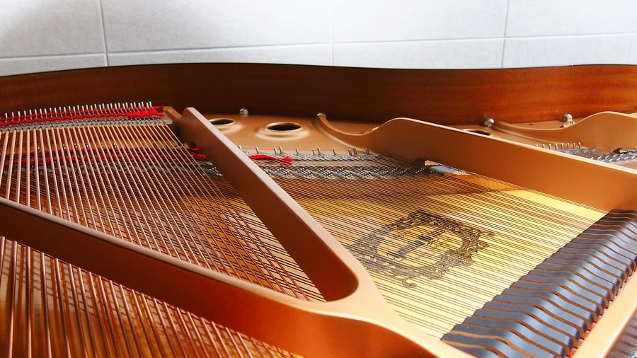 5번째 스튜디오 사진