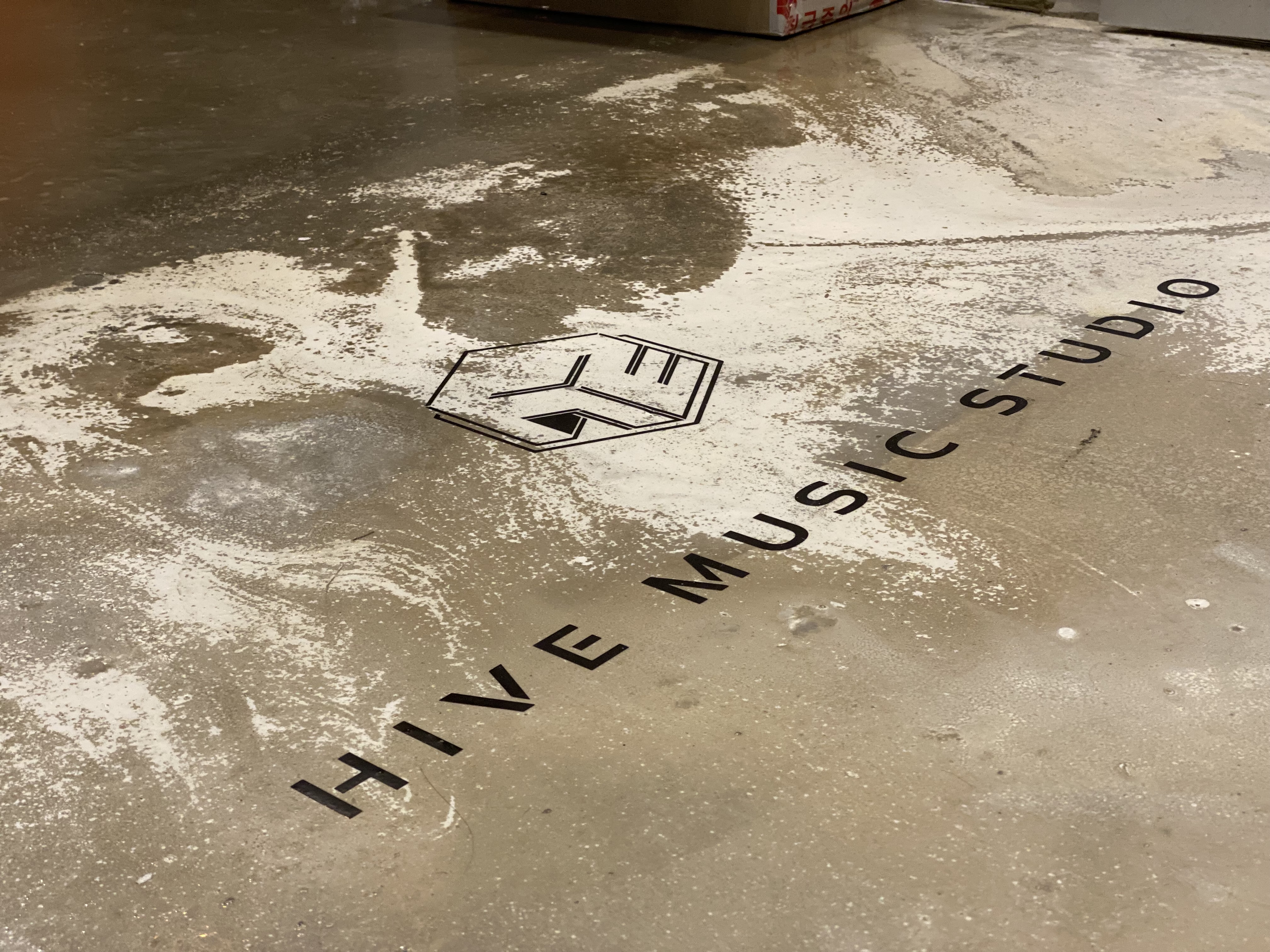 4번째 스튜디오 사진