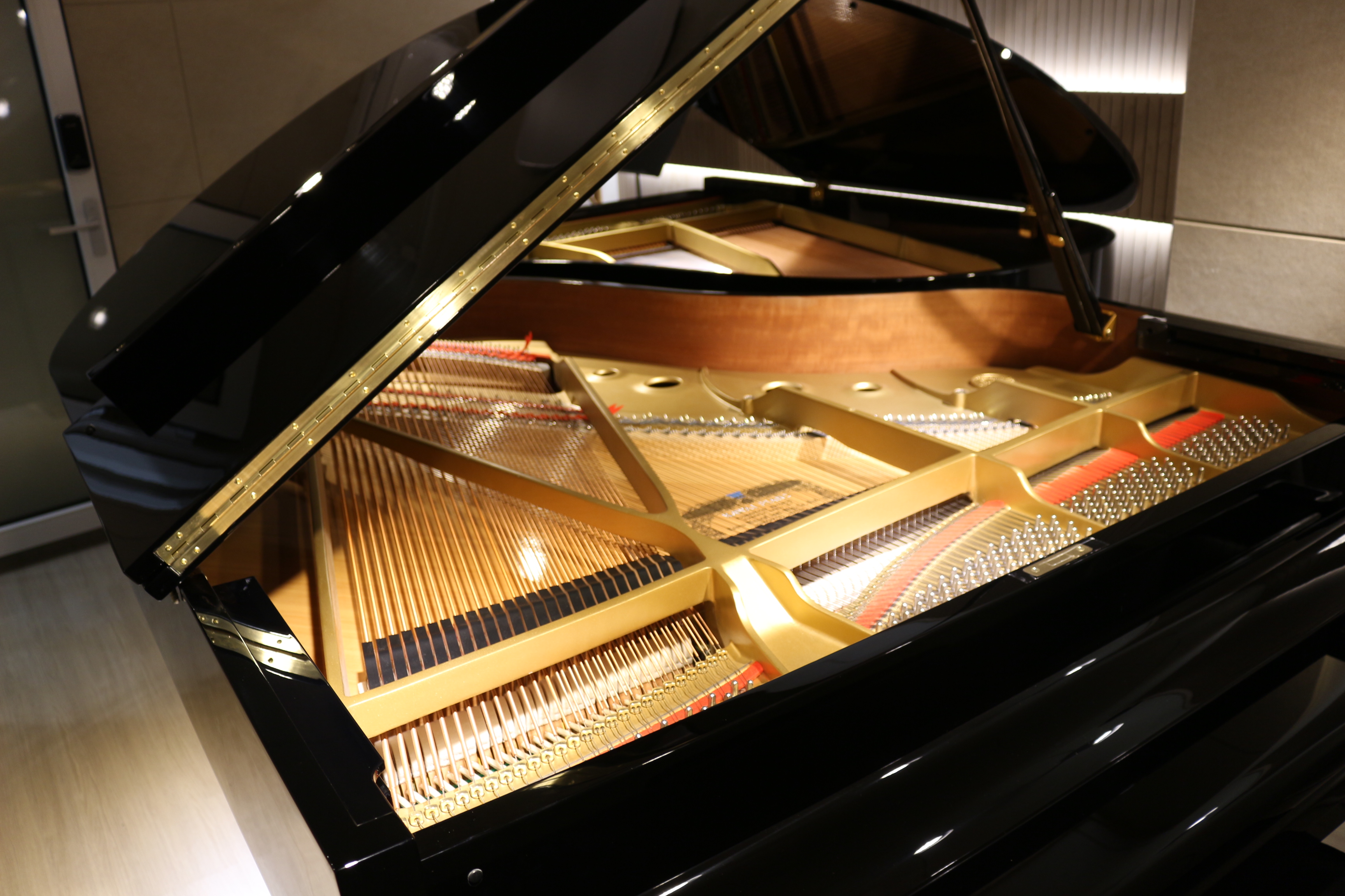 2번째 스튜디오 사진