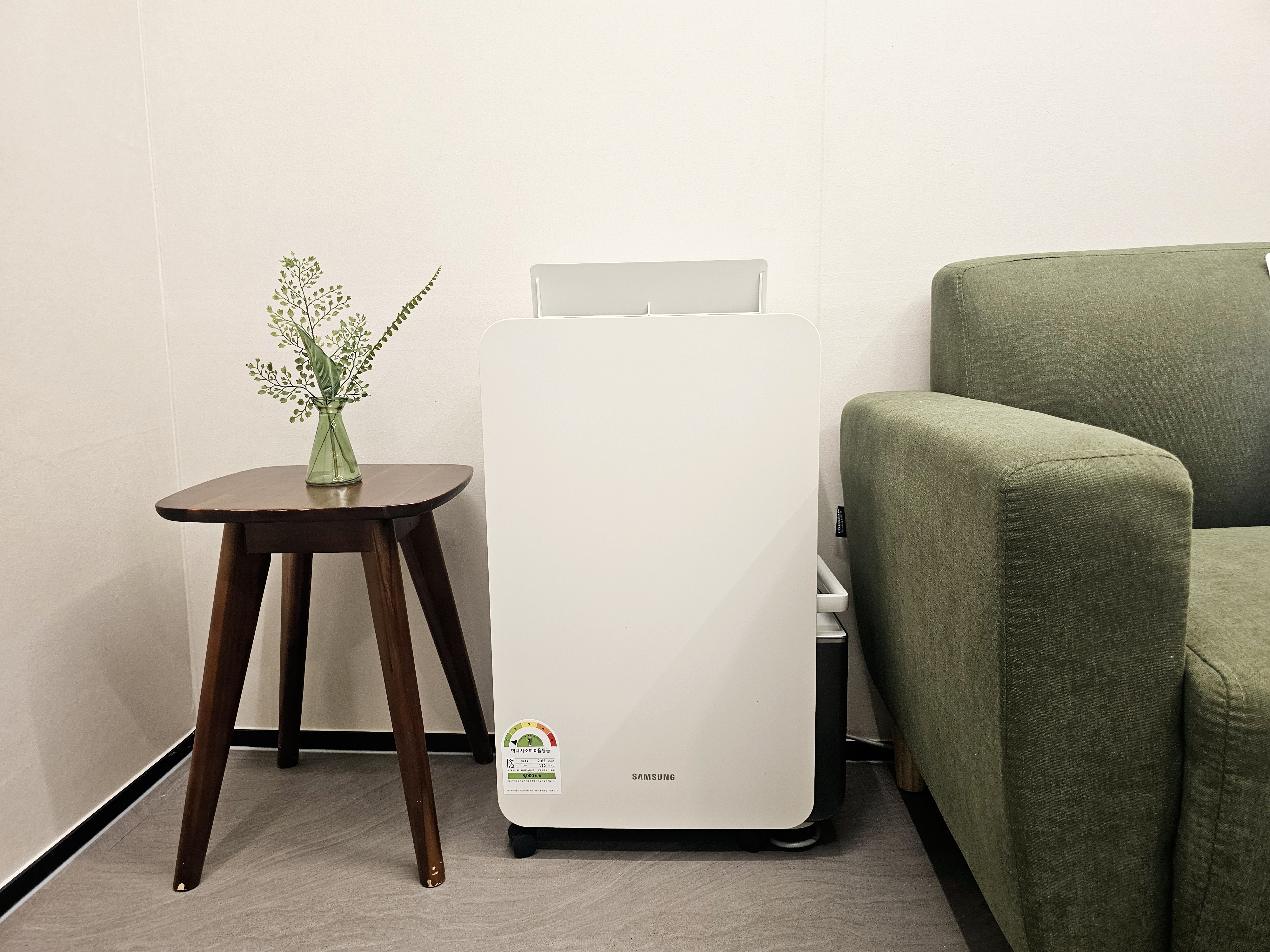 5번째 스튜디오 사진