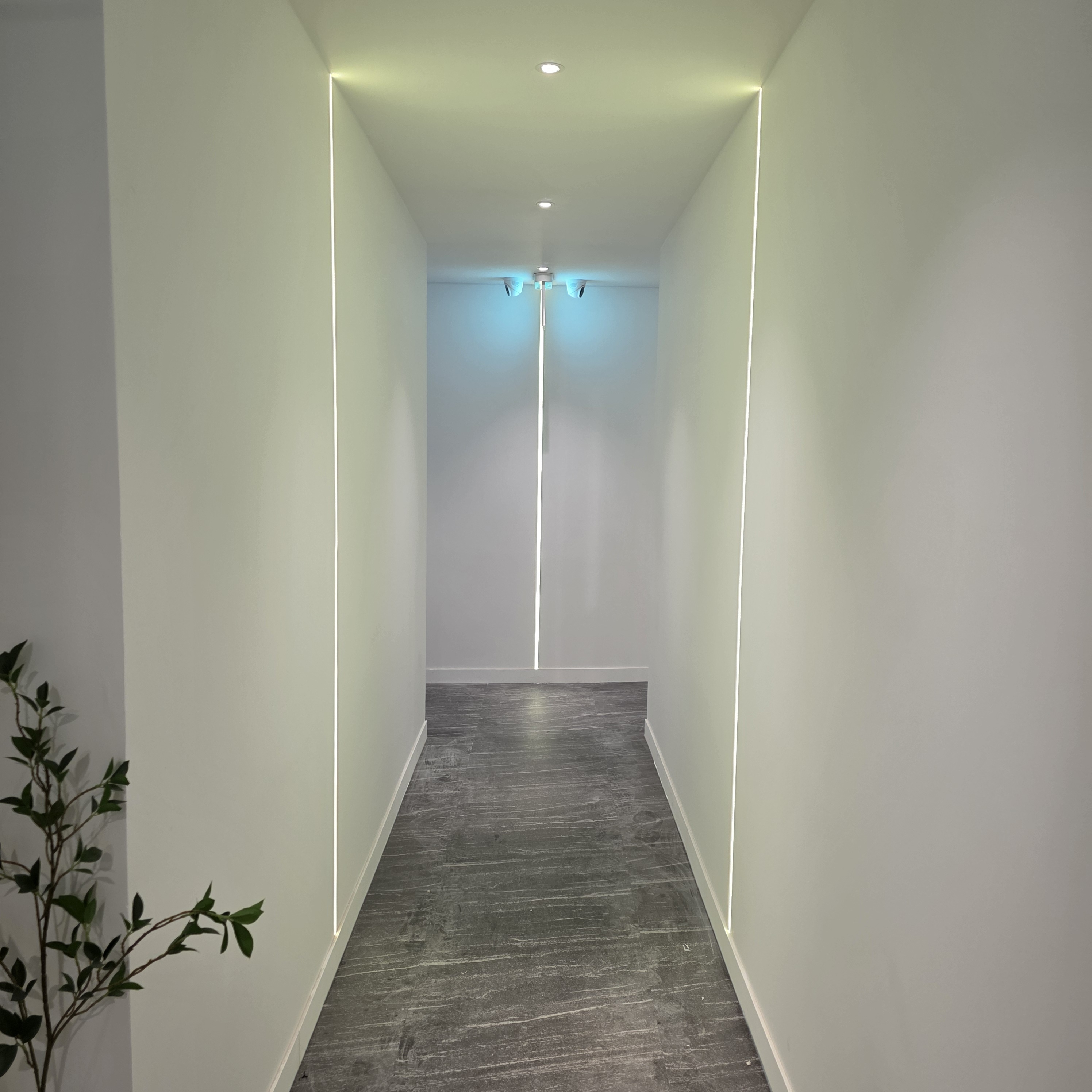 2번째 스튜디오 사진