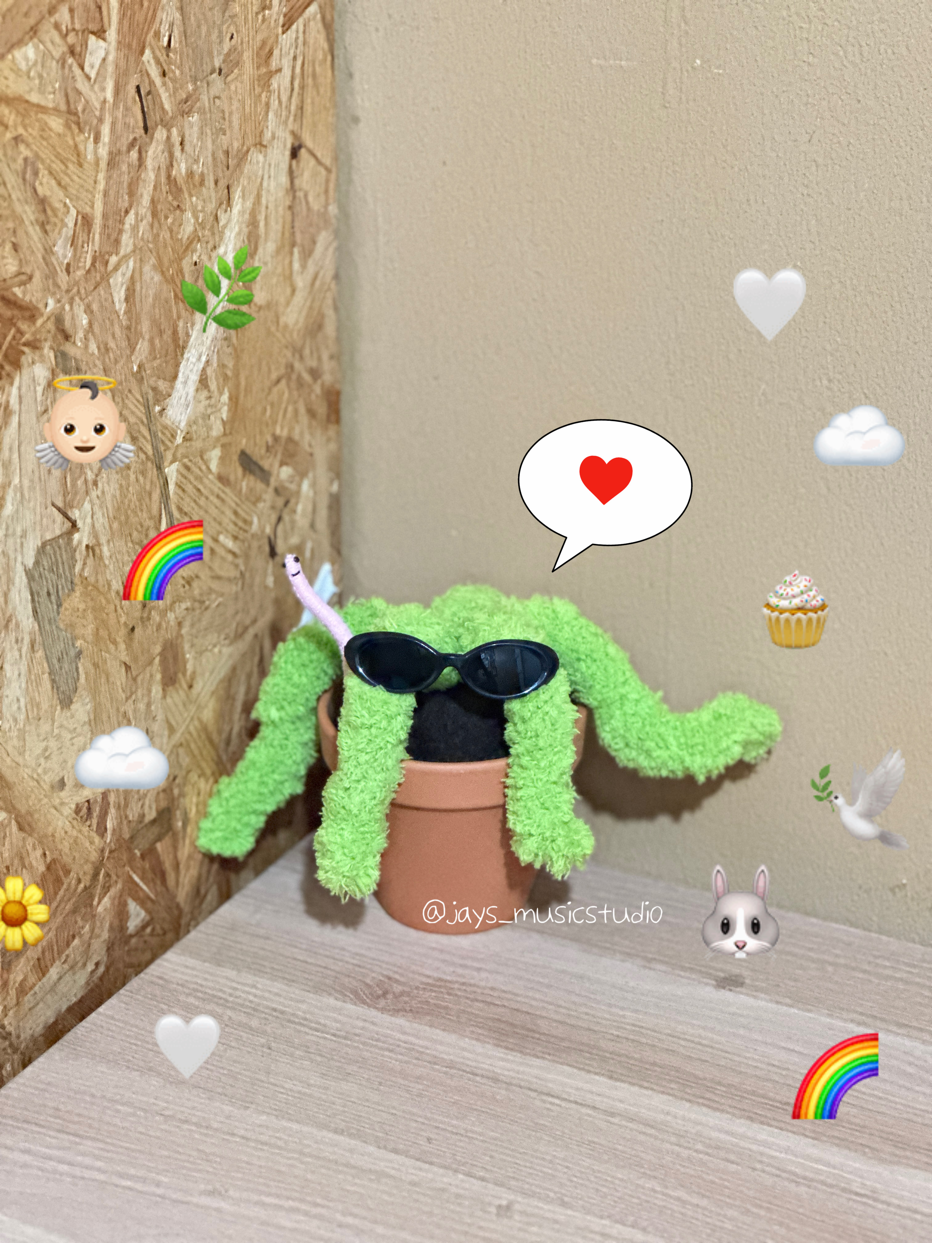 3번째 스튜디오 사진