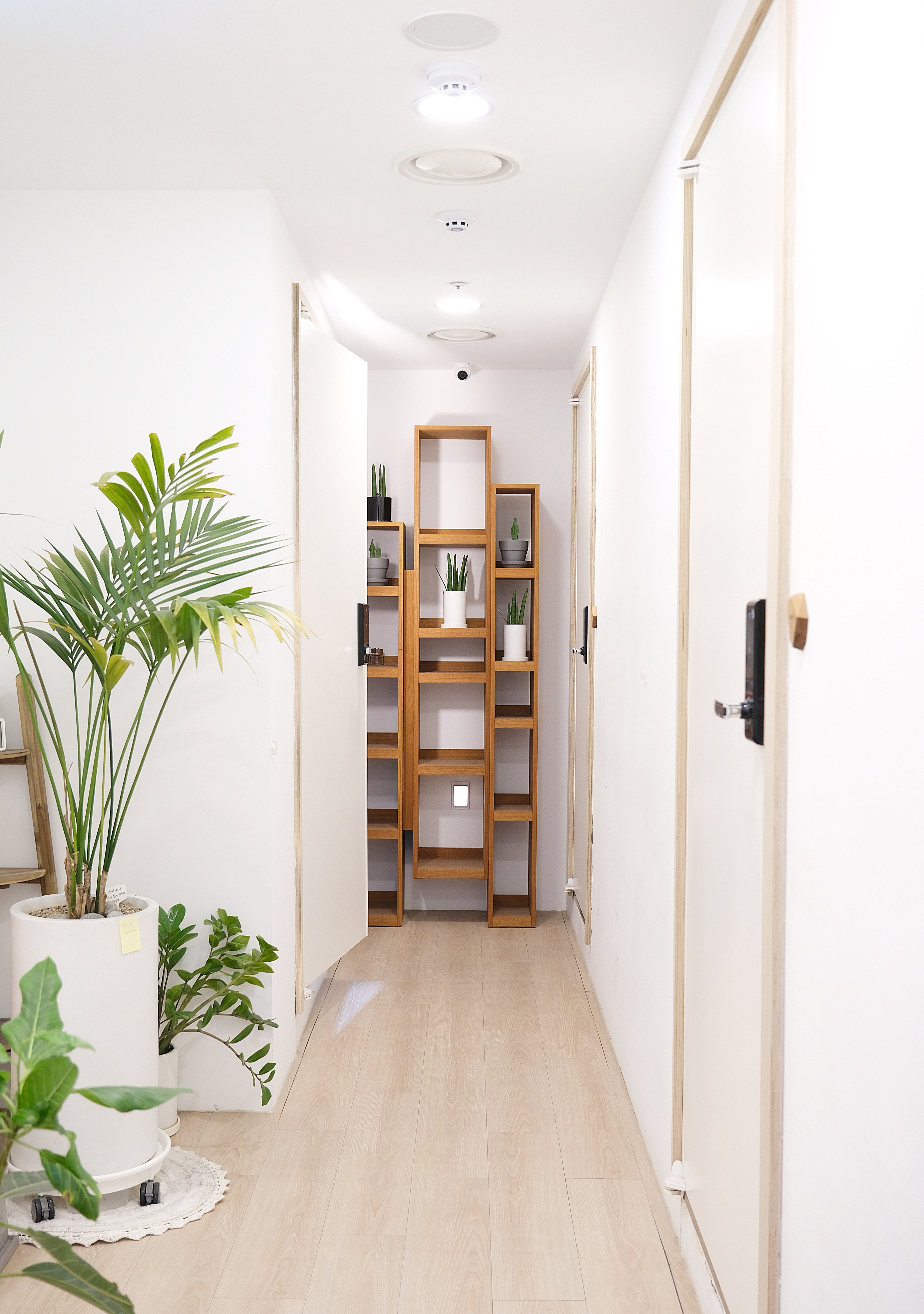 3번째 스튜디오 사진