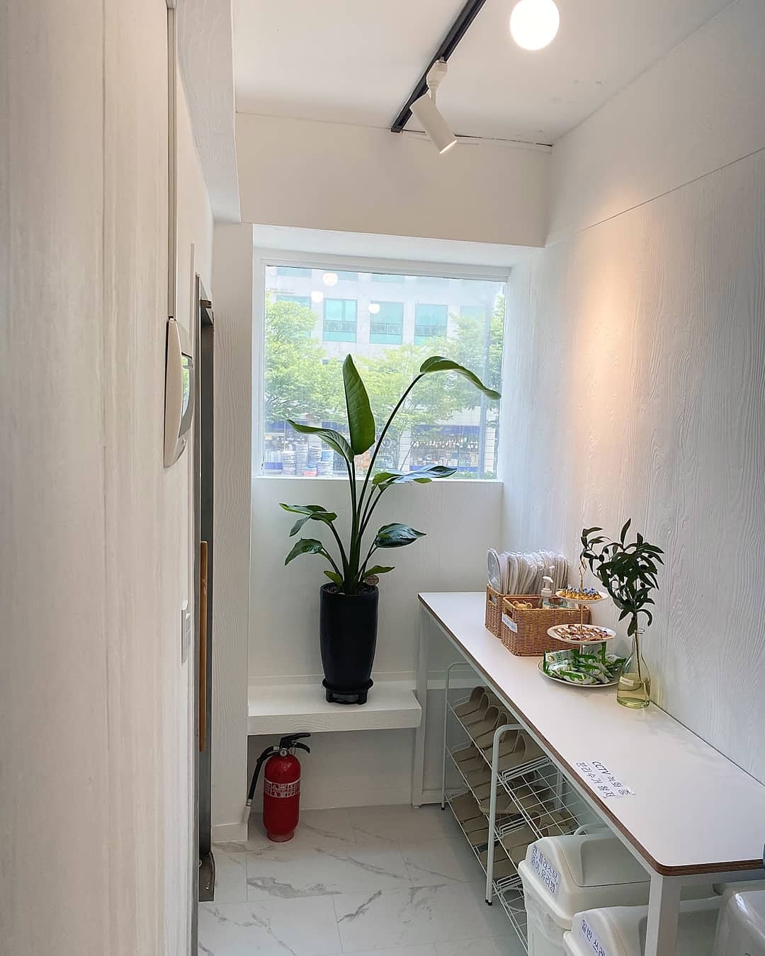 3번째 스튜디오 사진