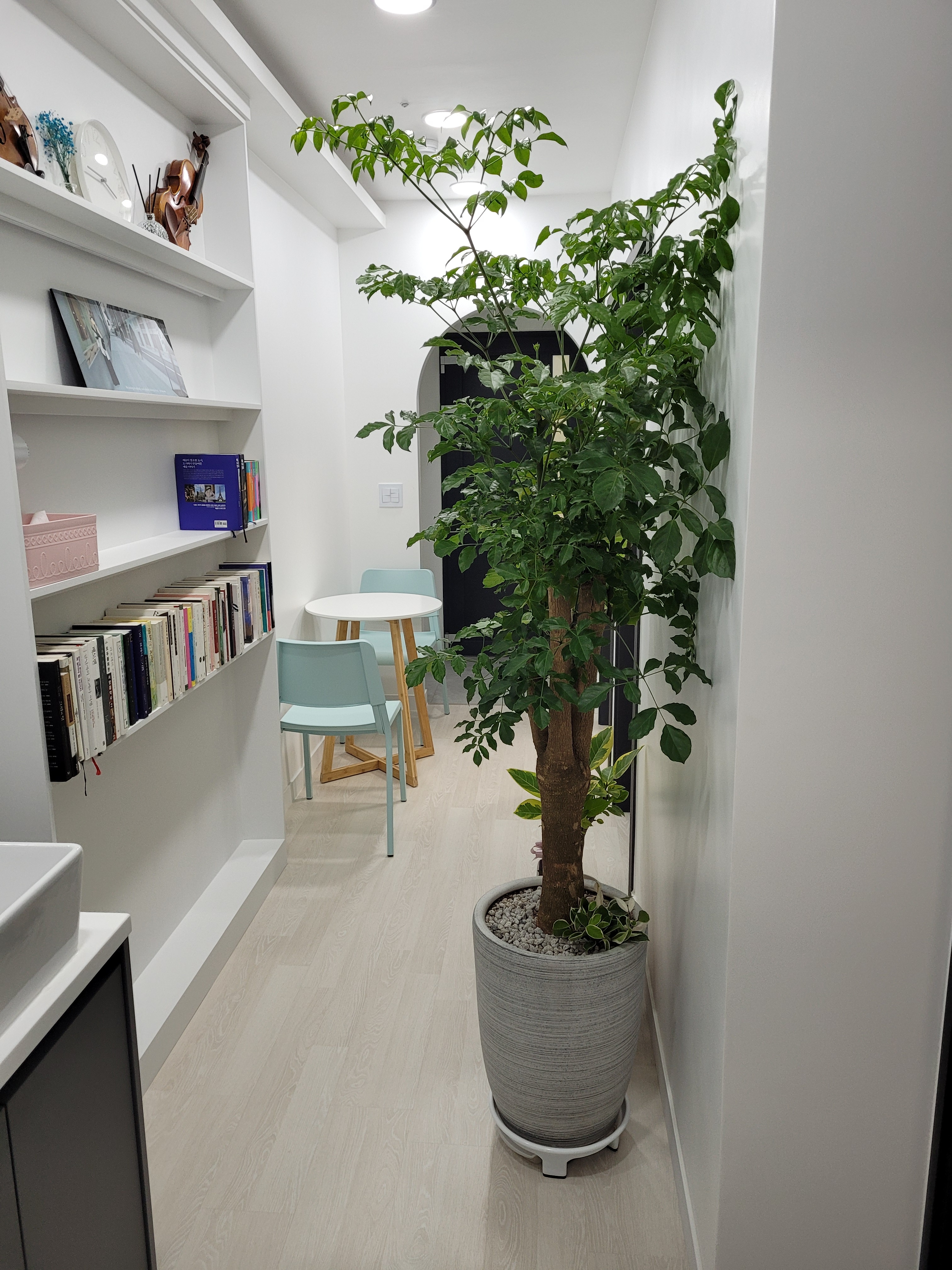 4번째 스튜디오 사진