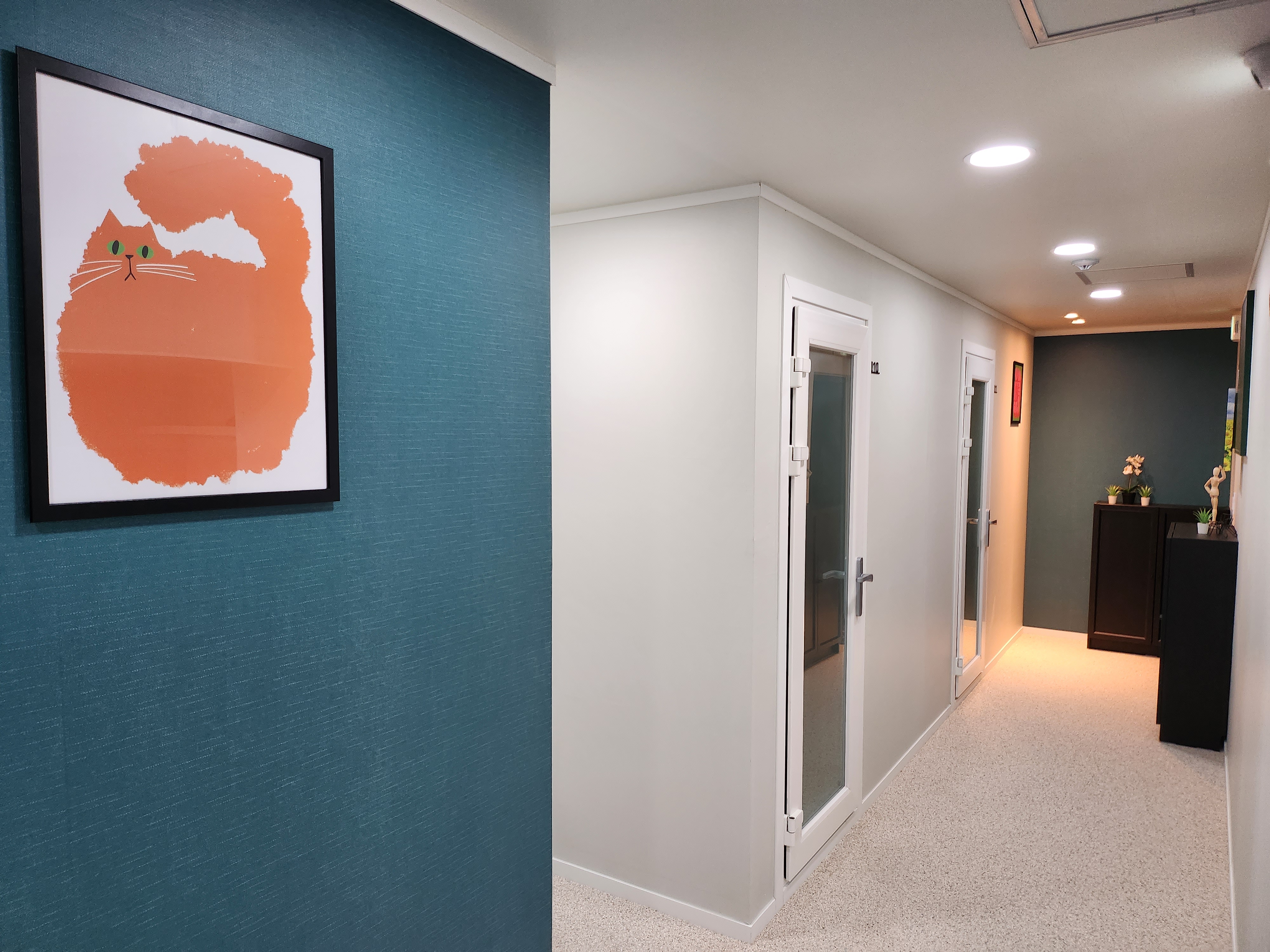 5번째 스튜디오 사진