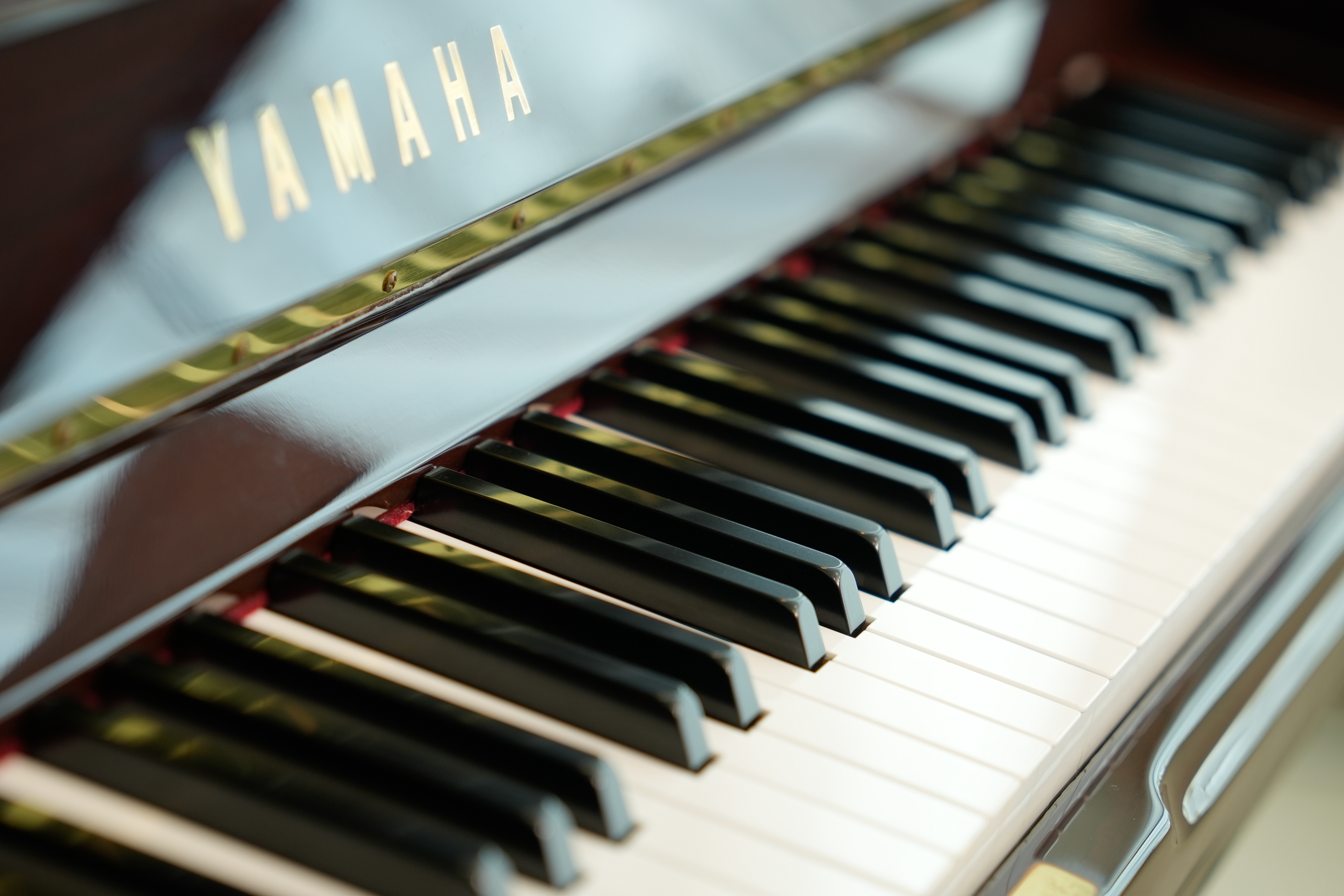 4번째 스튜디오 사진