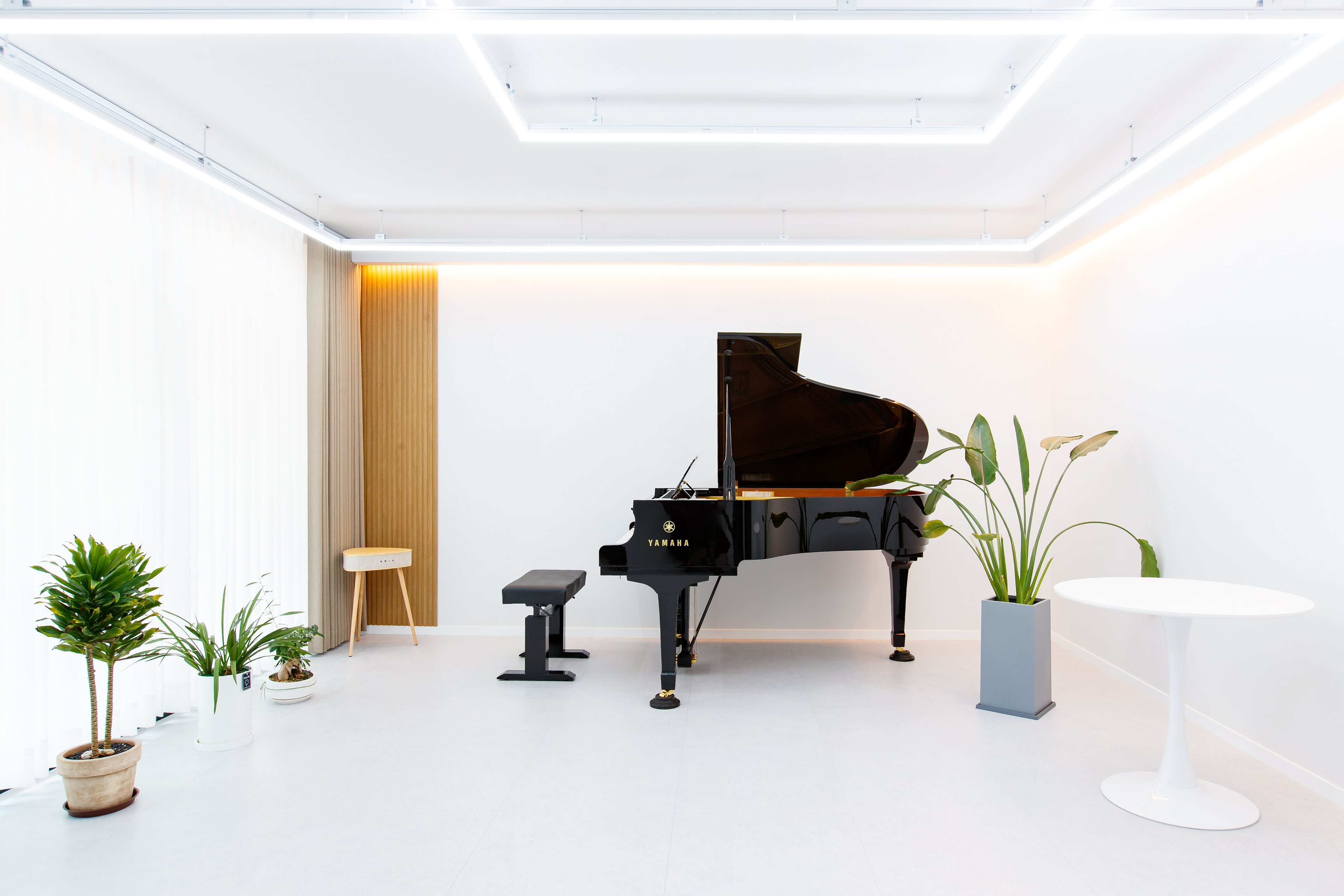 5번째 스튜디오 사진