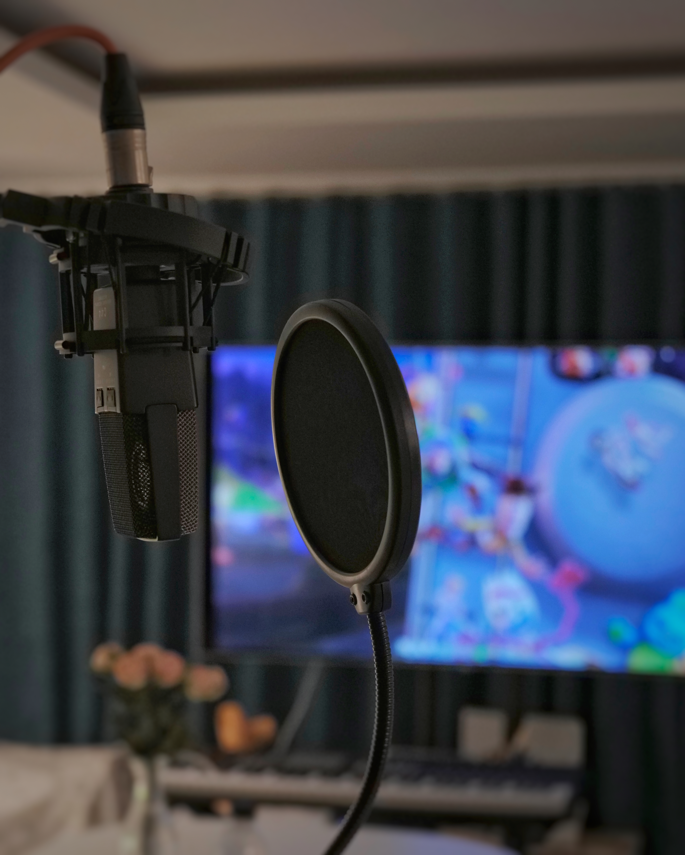 5번째 스튜디오 사진